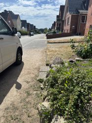 Vorgarten Umbau 3 alt